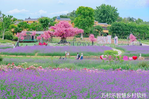 提高农民数字素养 推动数字乡村建设