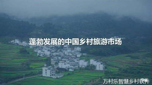 仁寿县：执善治之笔，绘美丽乡村